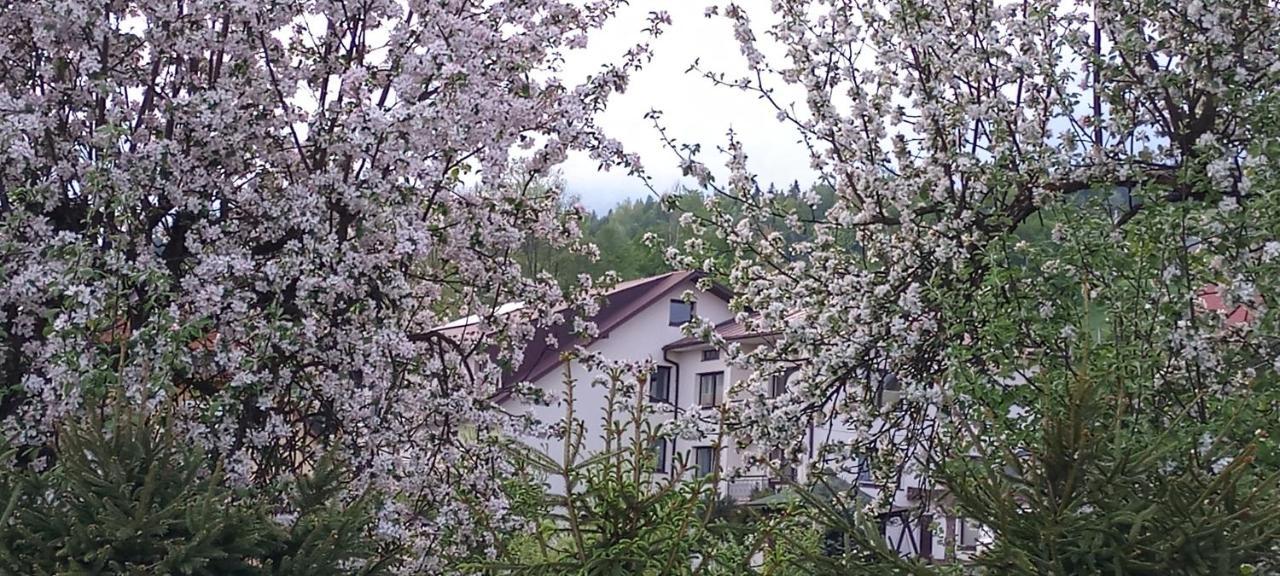 Pokoje U Solany Villa Knurow  Esterno foto