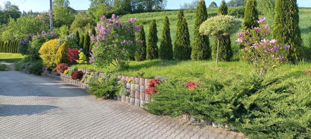 Pokoje U Solany Knurow  Esterno foto